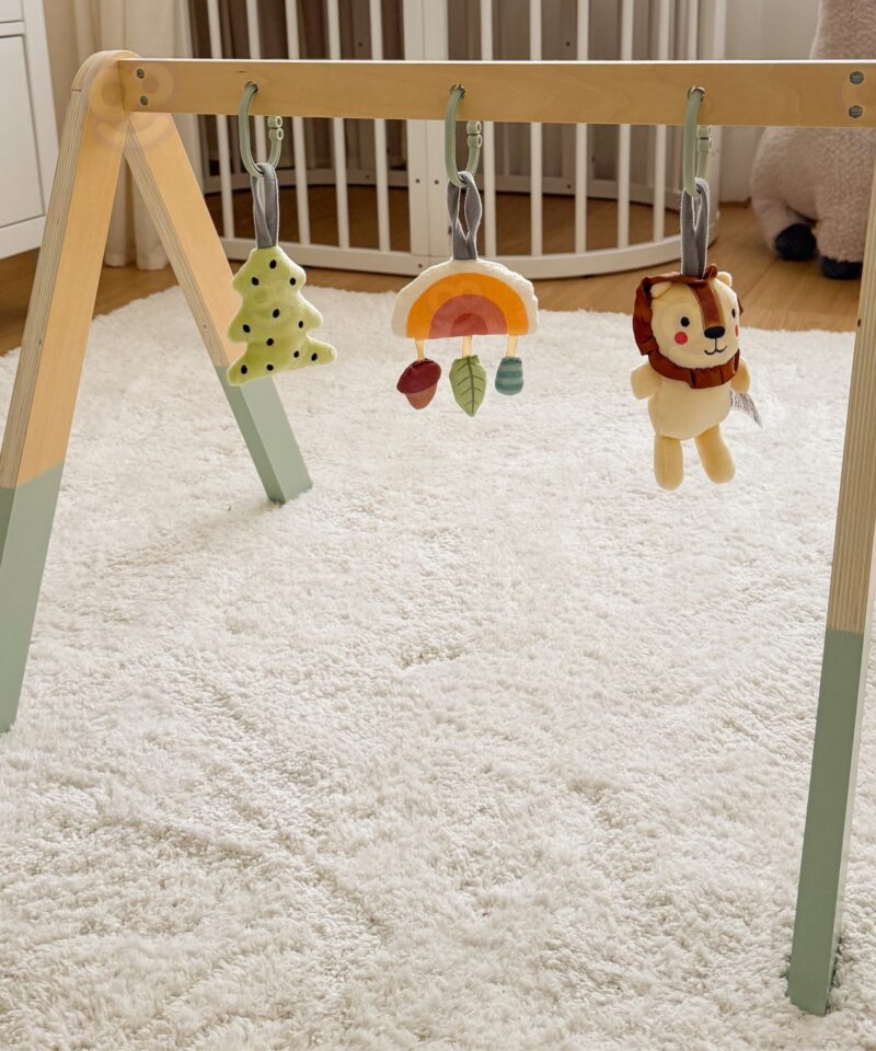 Mängukaar beebide meelte arendamiseks