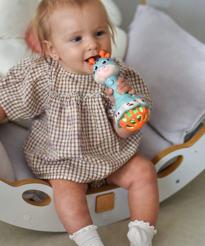 Arendav muusikaline mänguasi lastele