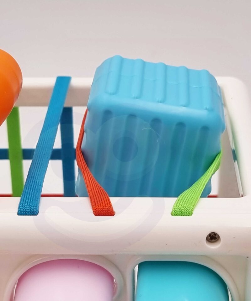 Klotssorter, mis kasvab koos lapsega