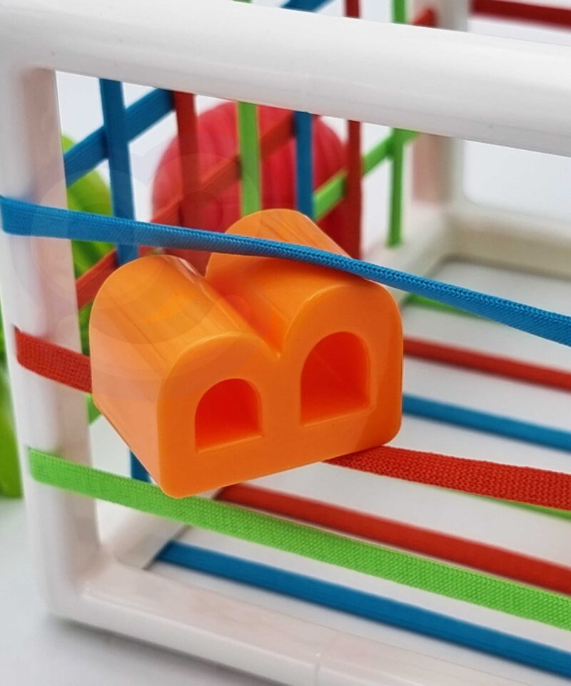 Klotssorter, mis kasvab koos lapsega