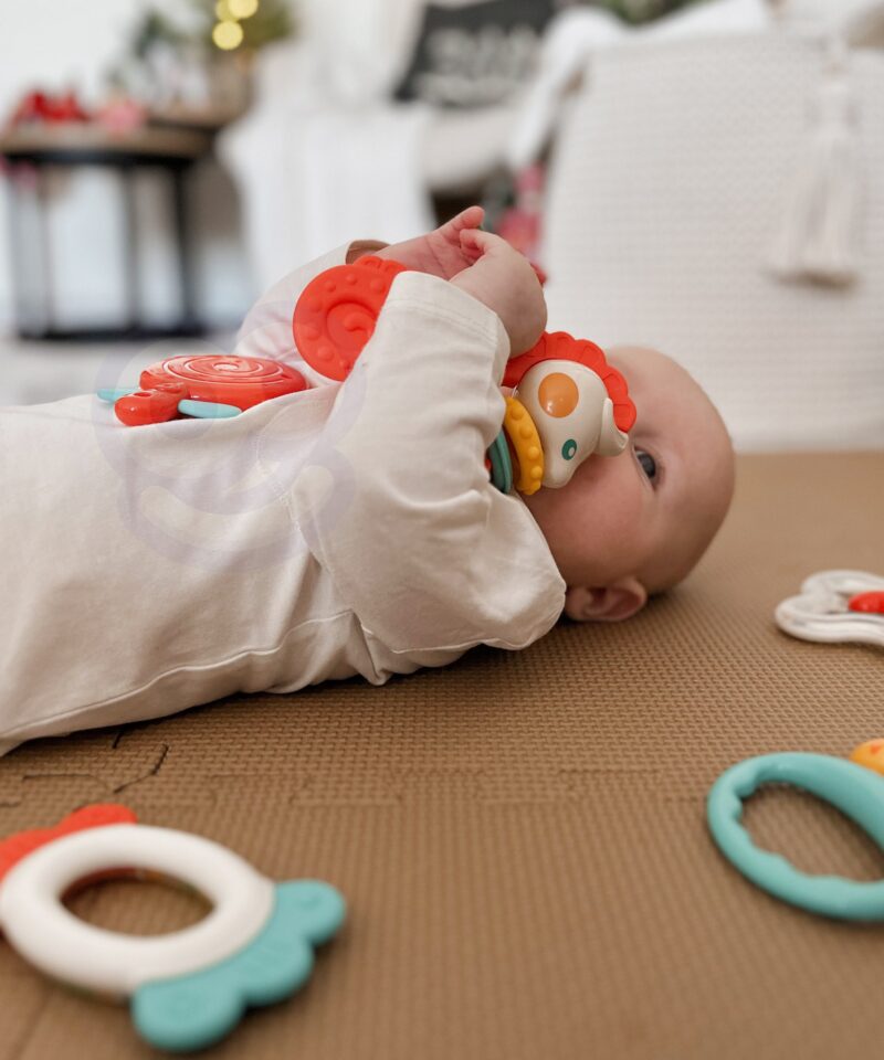 Erinevate tekstuuridega närimisrõngad