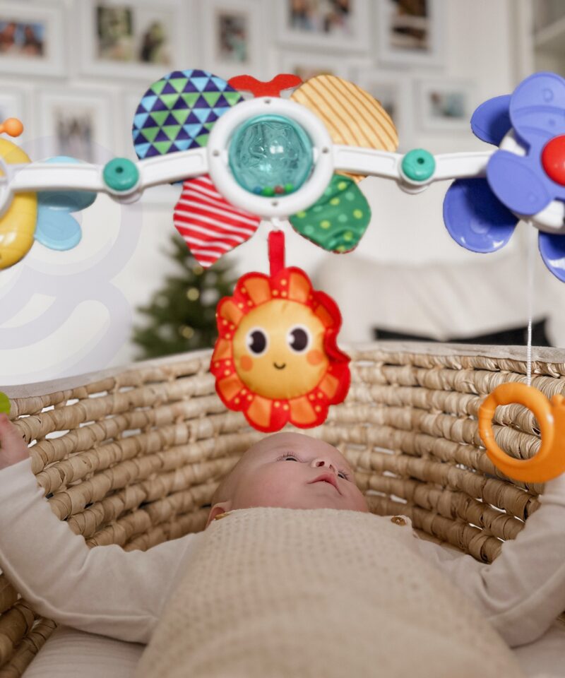 Vibreeriv ja piiksuv mängukaar beebile