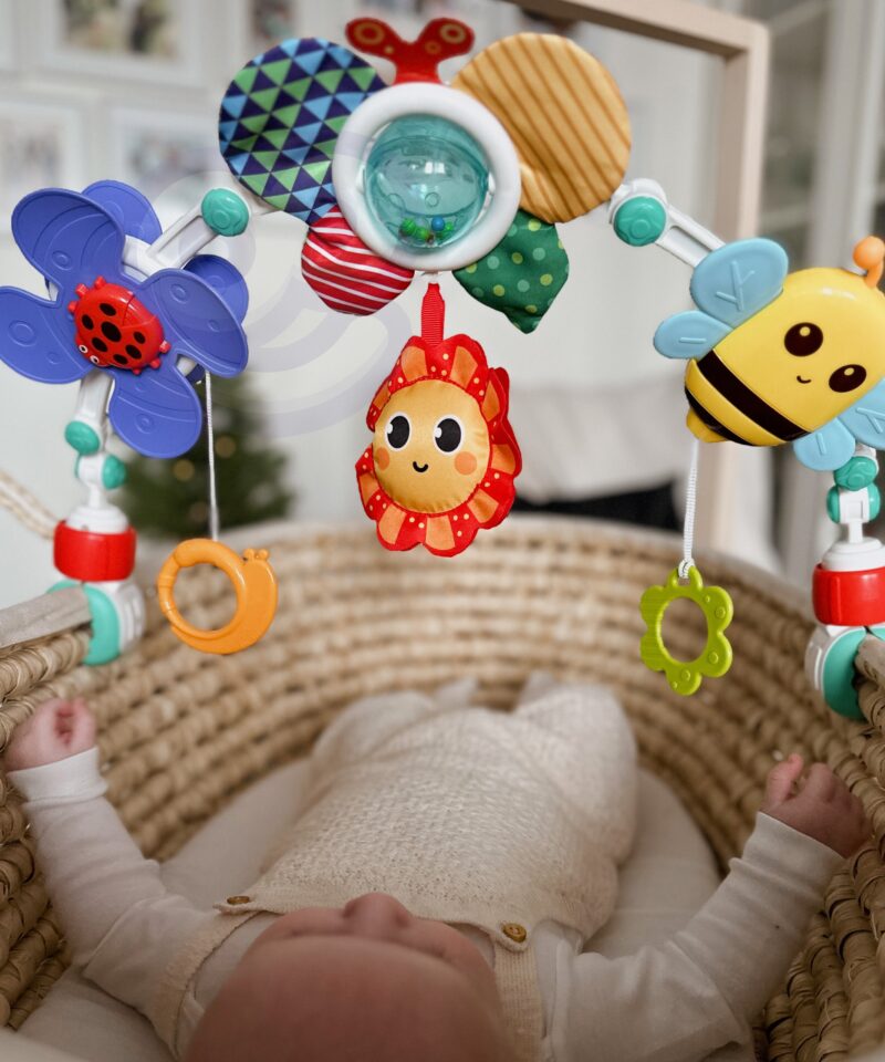 Lõbus liblikas kõristina beebi mängukaarel