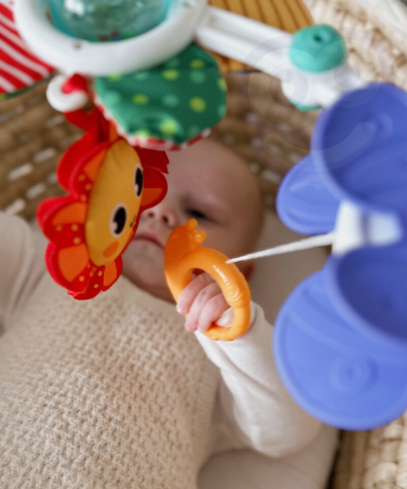 Tigu ripats mängukaare küljes