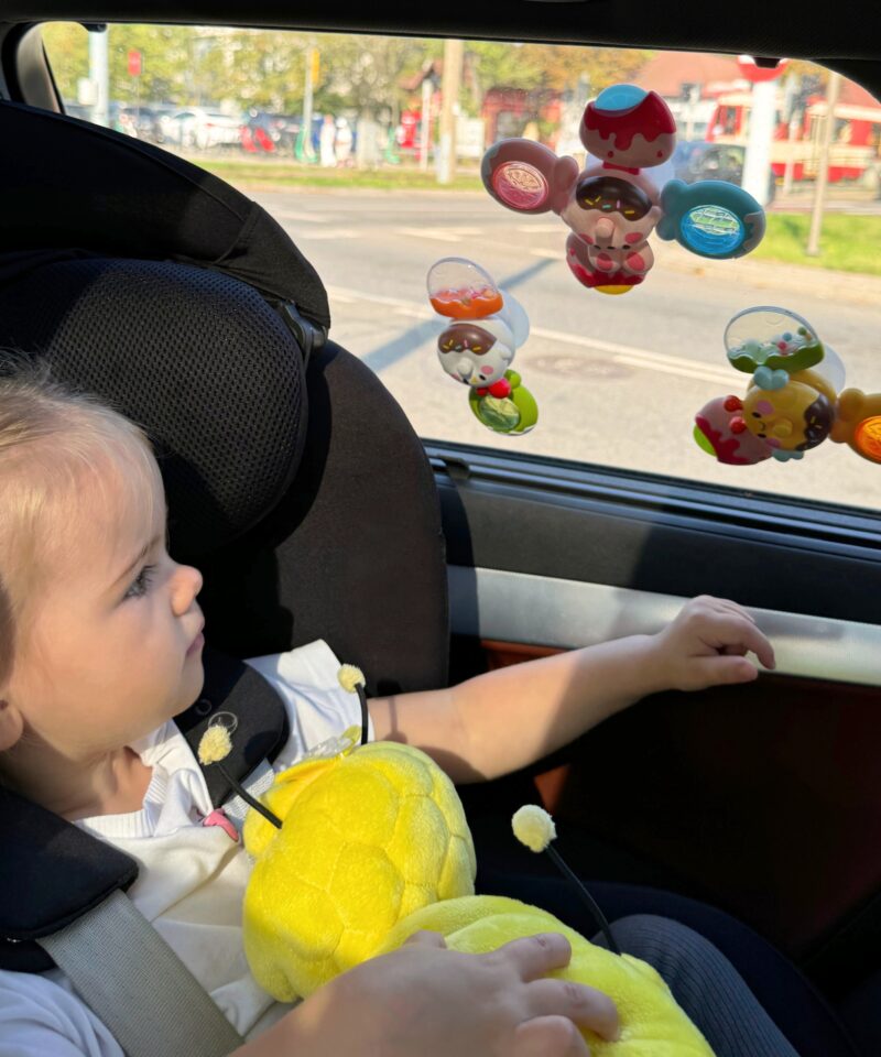 Sensoorilised mänguasjad vannis