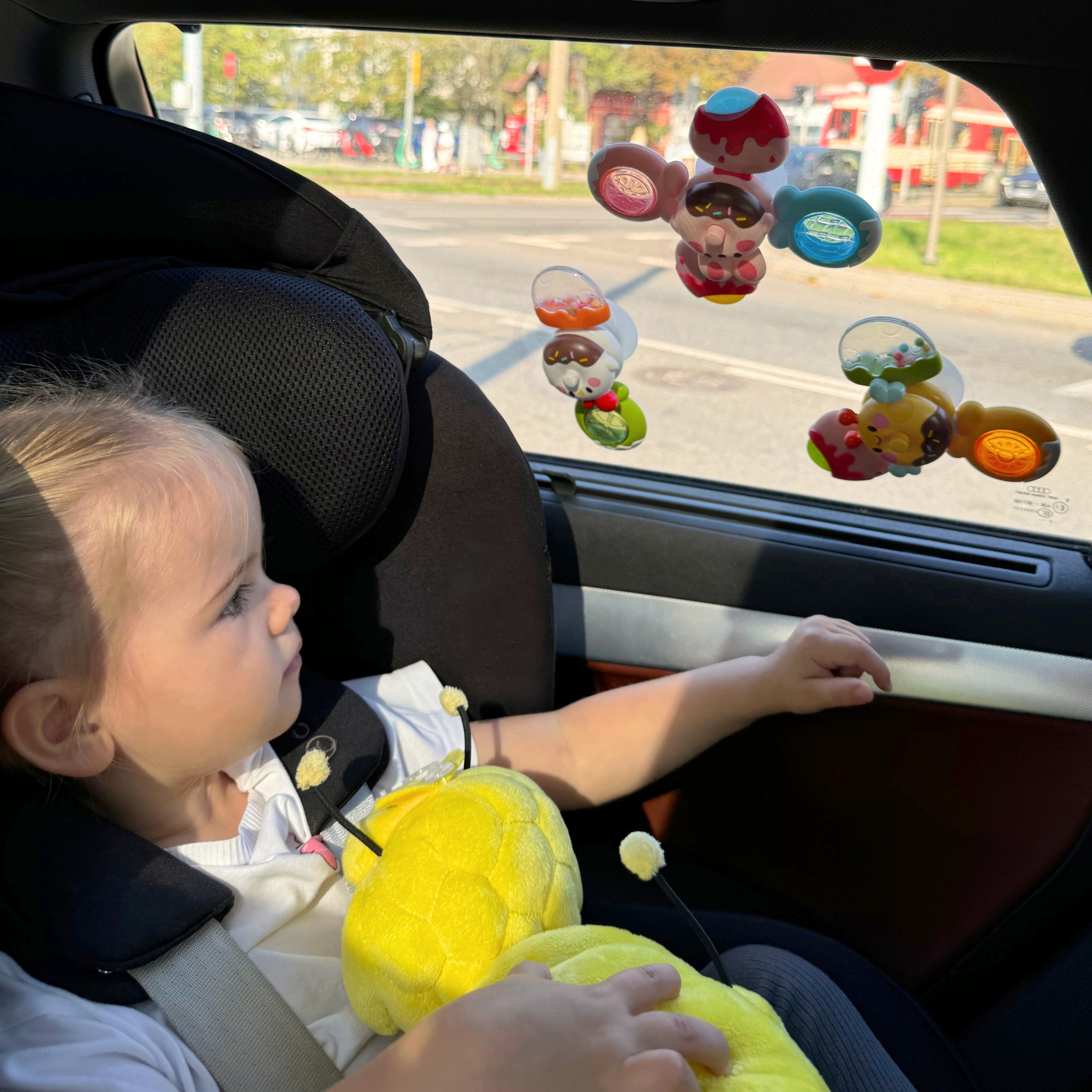 Sensoorilised mänguasjad vannis