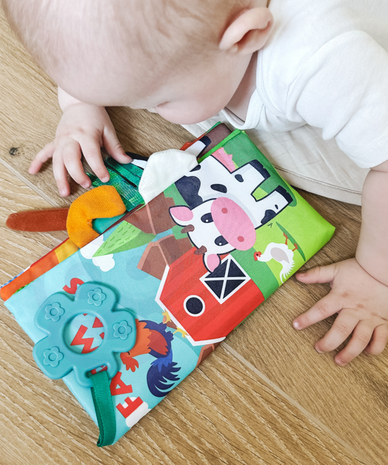 Värvikad illustratsioonid beebiraamatus