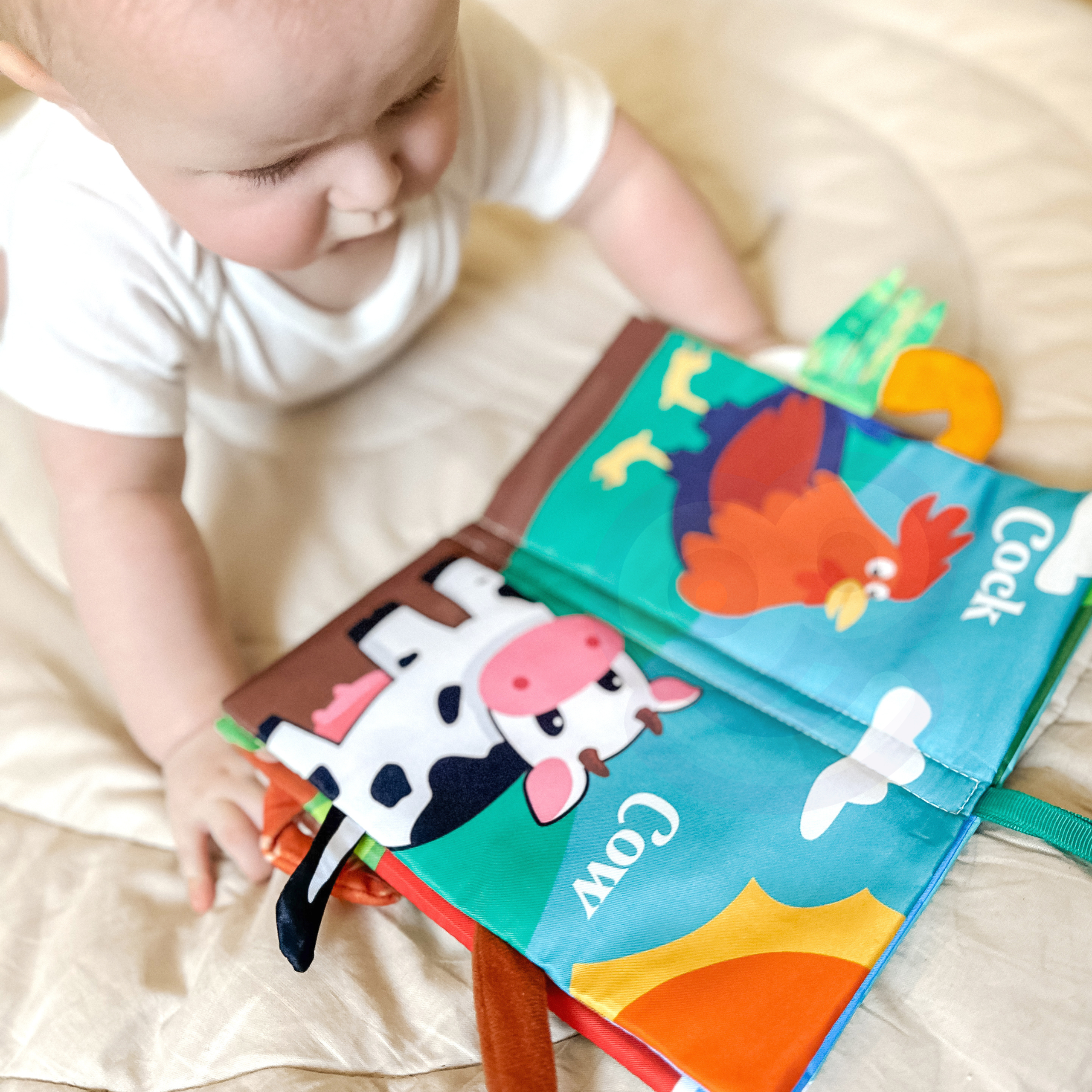 Kergesti puhastatav ja kaasaskantav raamat