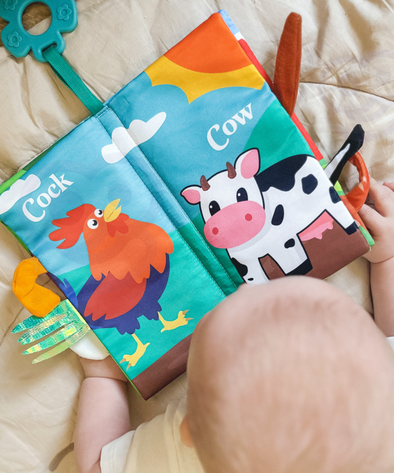 Kergesti puhastatav ja kaasaskantav raamat