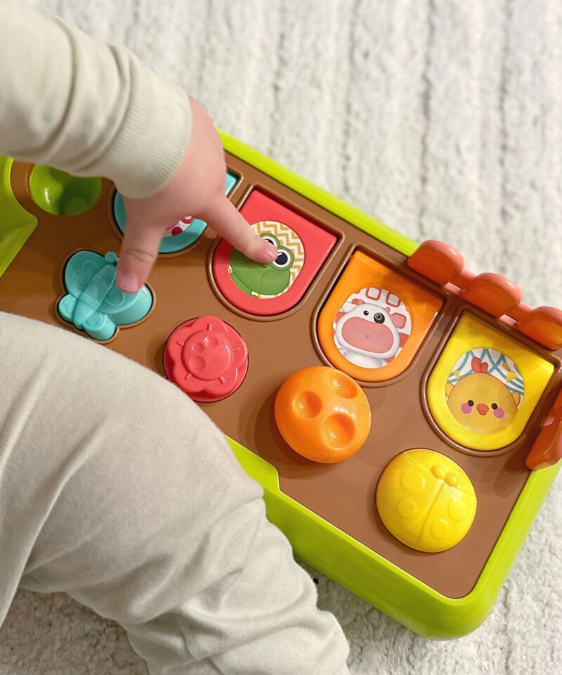 Interaktiivne mänguasi väikestele avastajatele