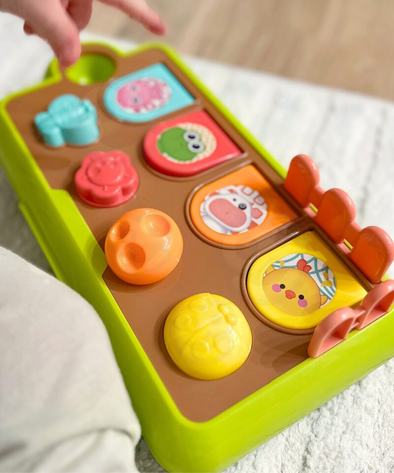 Interaktiivne mänguasi väikestele avastajatele