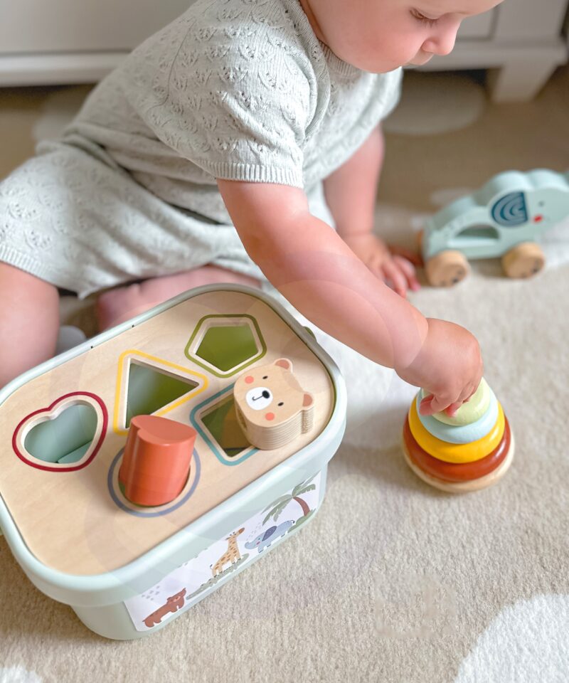 Sortimiskast koos värviliste klotsidega