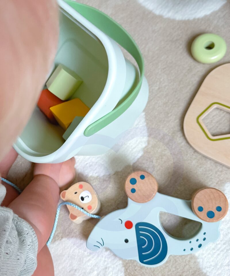 Tõmmatav elevant väikestele lastele