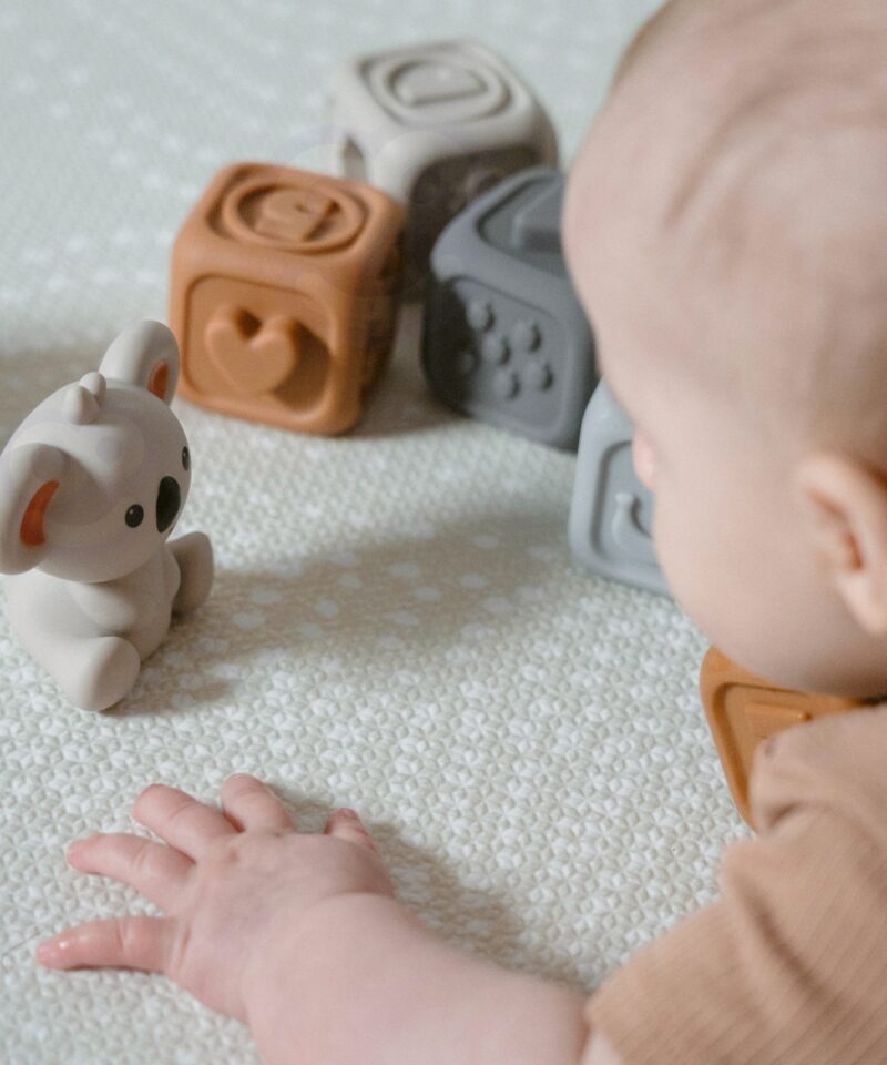 Armas koala lisab klotsikomplektile atraktiivsust