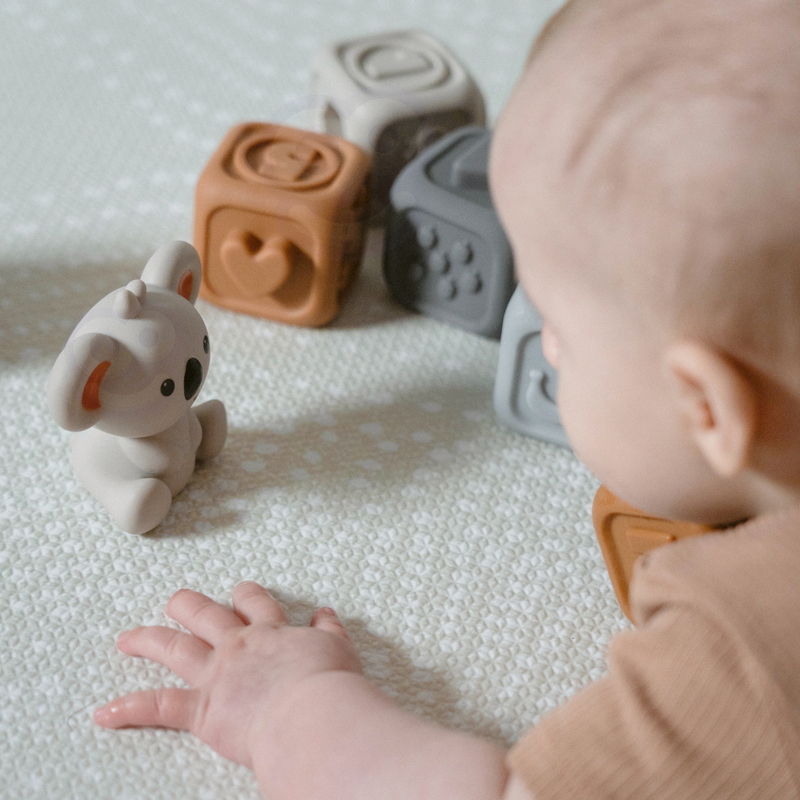 Armas koala lisab klotsikomplektile atraktiivsust