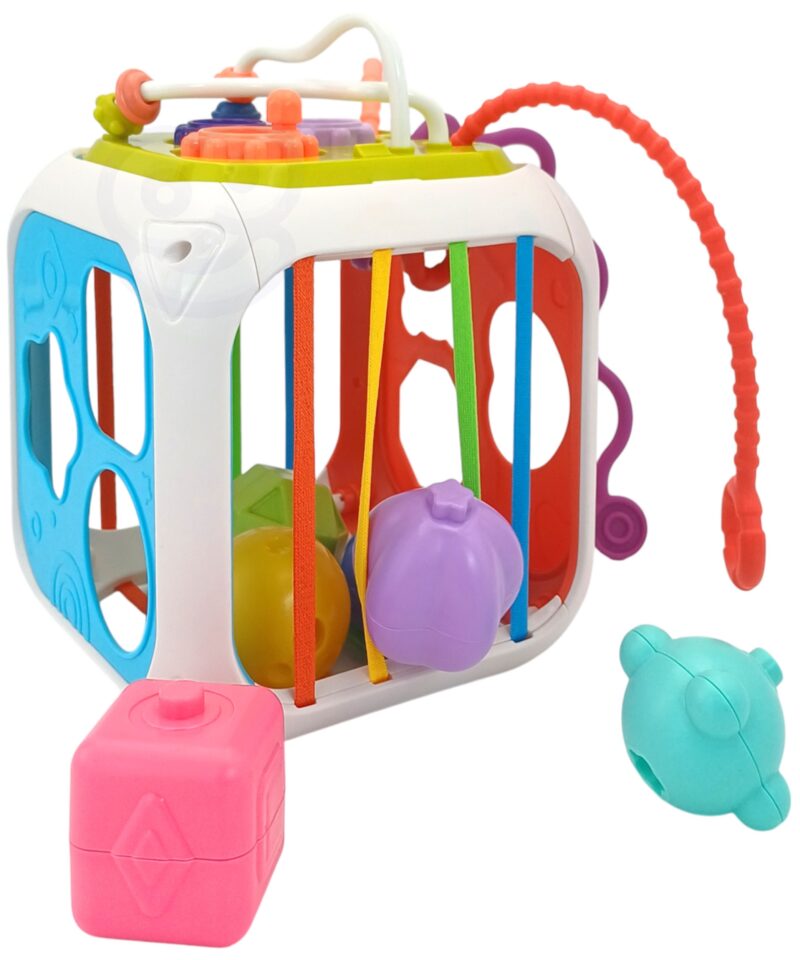 Beebide arenduskast koos mini-ksülofoniga