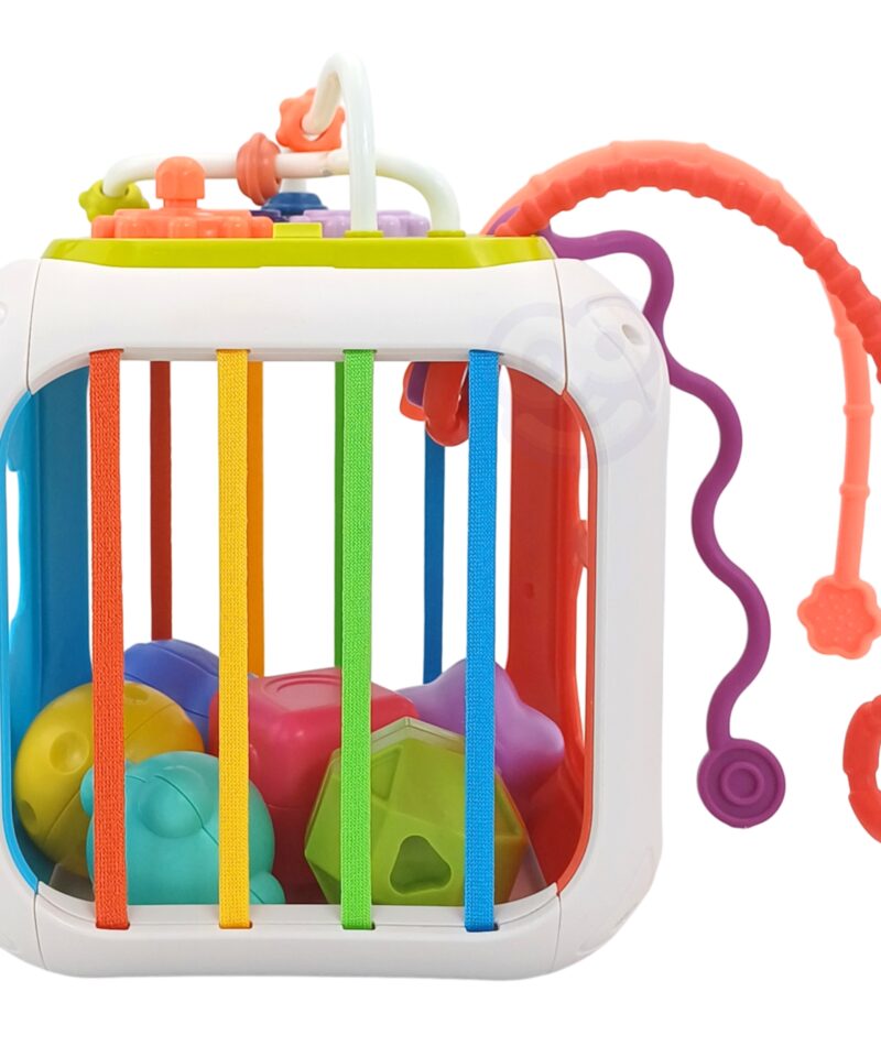 Beebide arenduskast koos mini-ksülofoniga