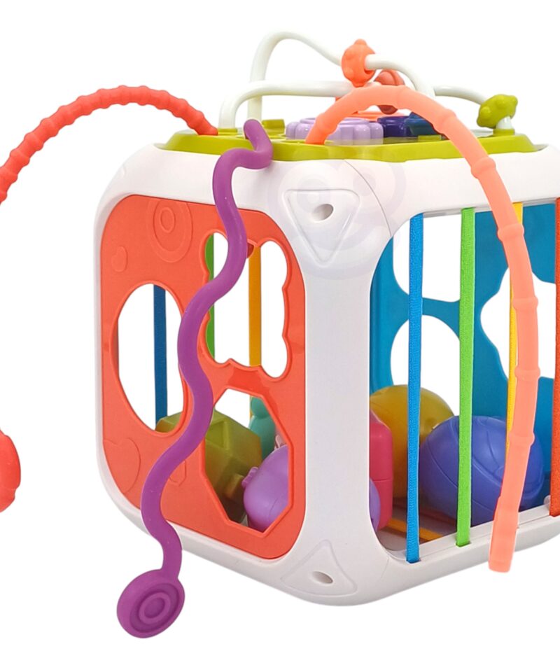 Beebide arenduskast koos mini-ksülofoniga