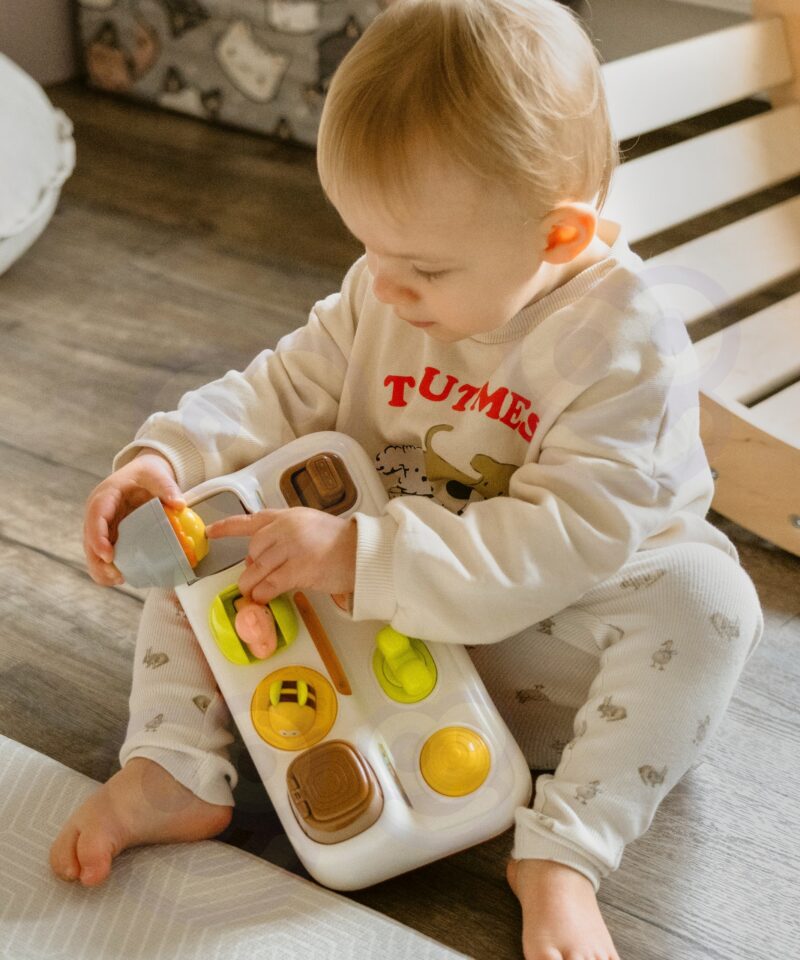 Pop-up loomamänguasi pakub rõõmu