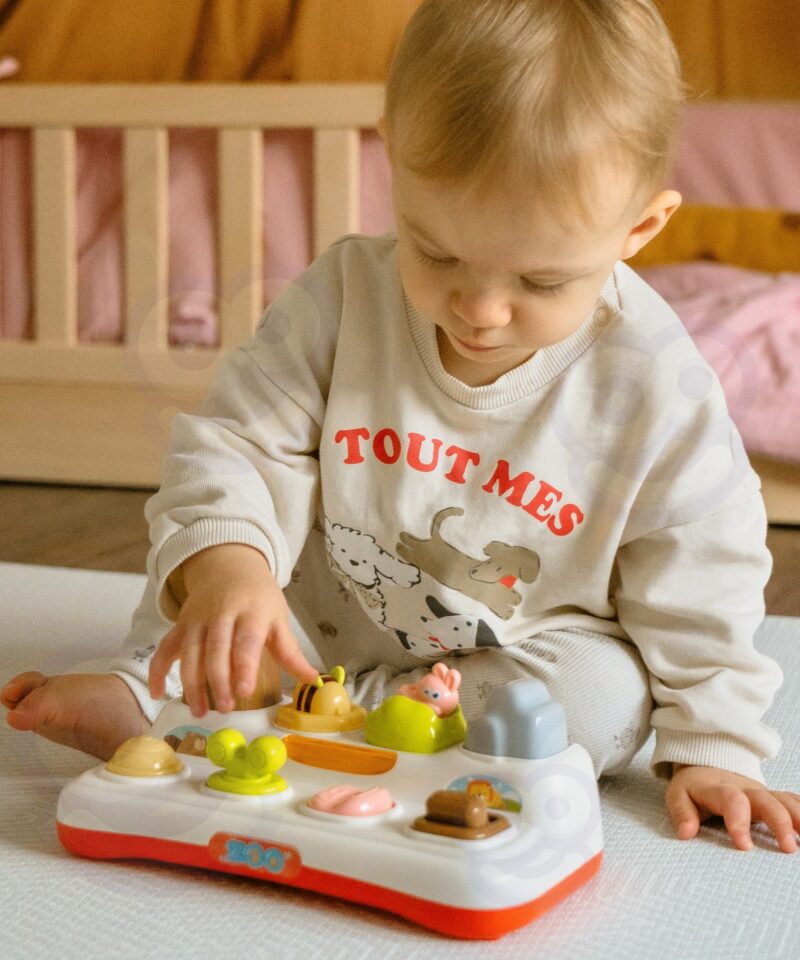 Kvaliteetne ja vastupidav interaktiivne mänguasi