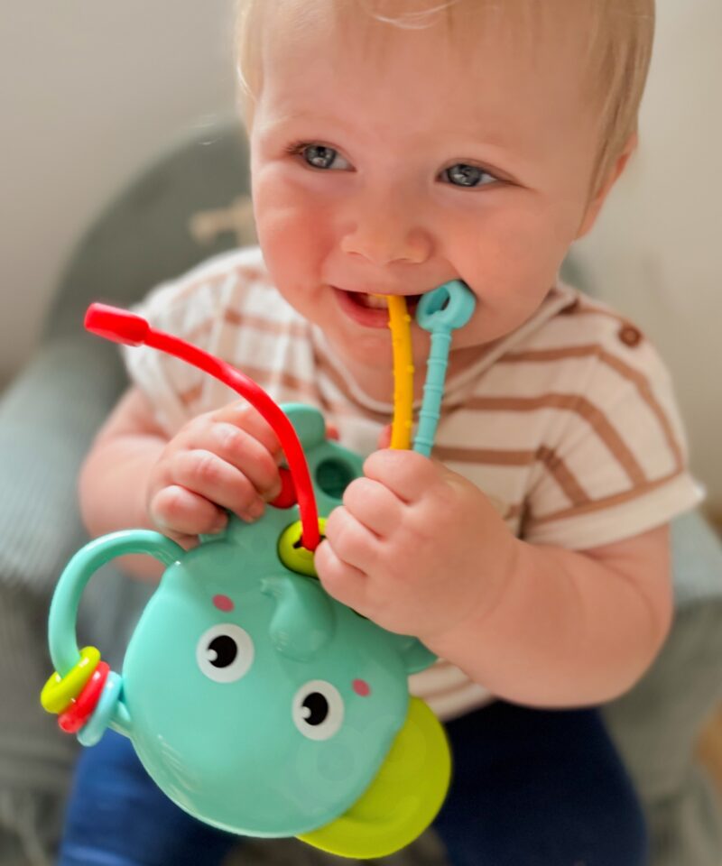 Arendav mänguasi lastele alates 18 kuust