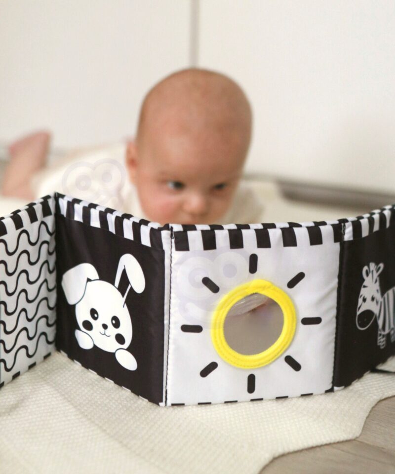 Sensoorne mänguasi lapse arenguks