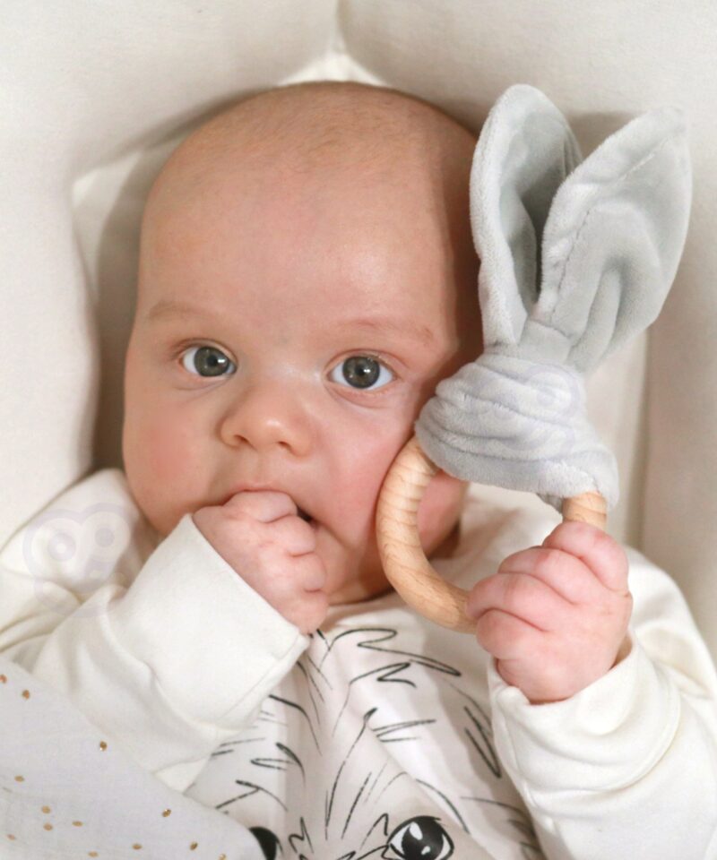 Montessori meetodiga mänguasjad