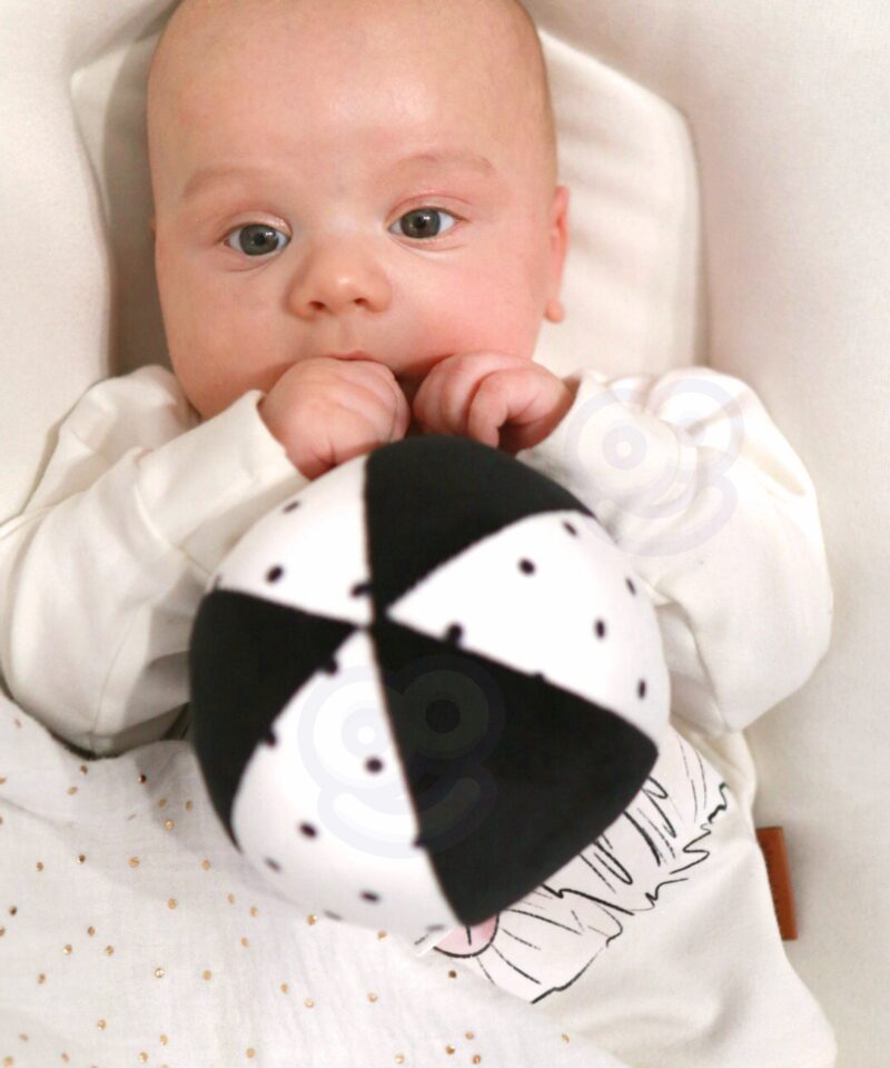 Didaktilised mänguasjad imikutele