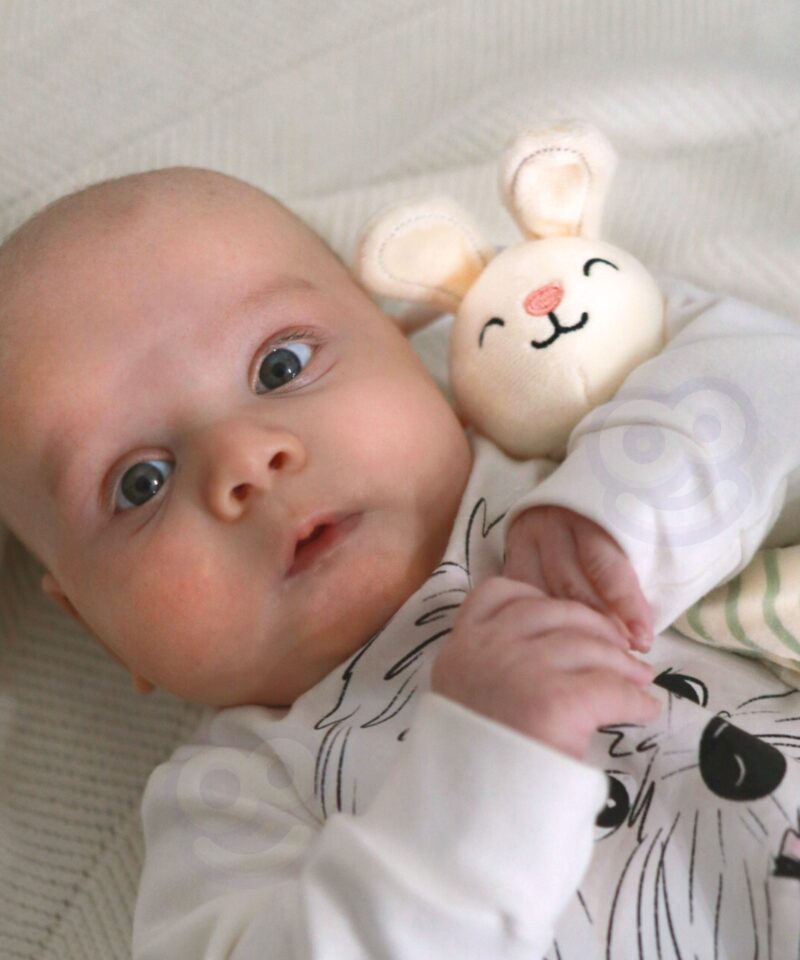 Arendav mängukomplekt kingituseks