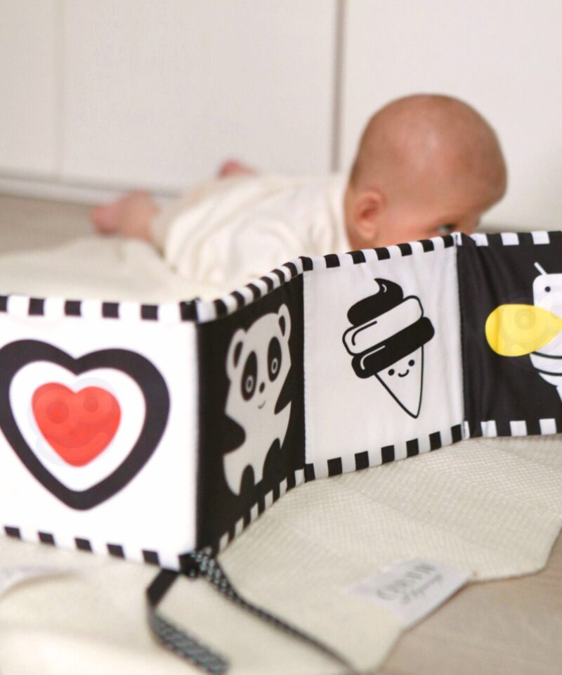 Arendav mängukomplekt kingituseks