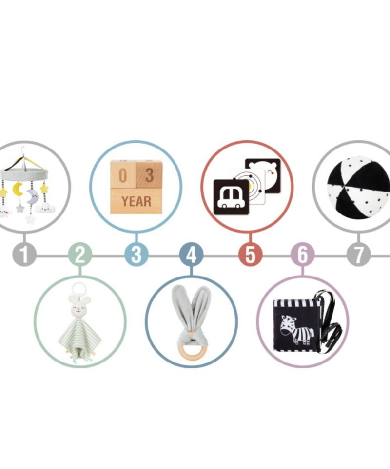 Arendav mängukomplekt kingituseks