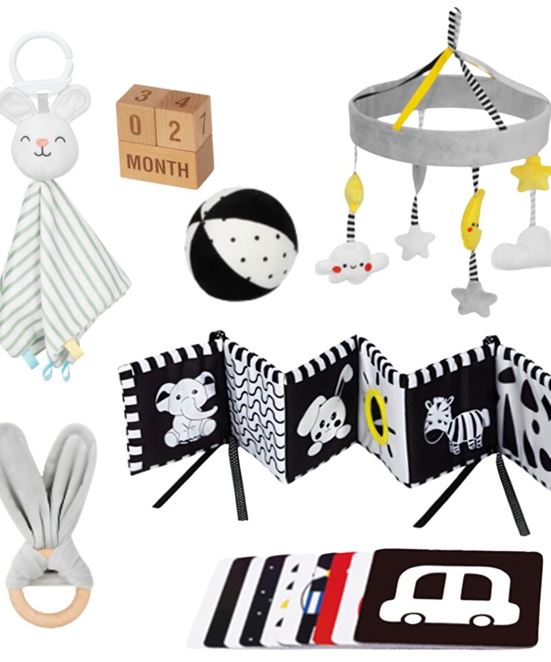 Arendav mängukomplekt kingituseks