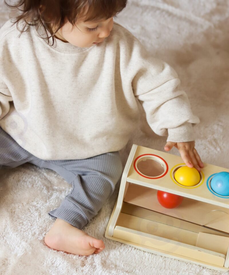 Arendavad Montessori mänguasjad