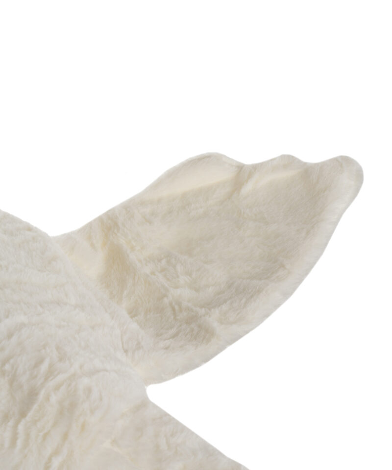 Valge ja oranž suur hani