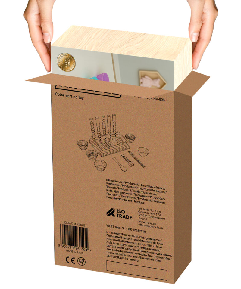 Värviline sorter mänguasi puidust