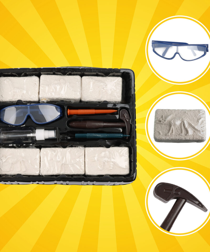 Komplekt paleontoloogia õppimiseks