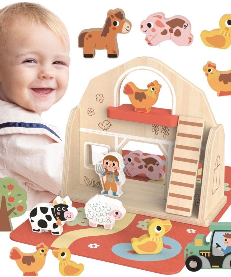 Puidust Kokkupandav Farmakomplekt