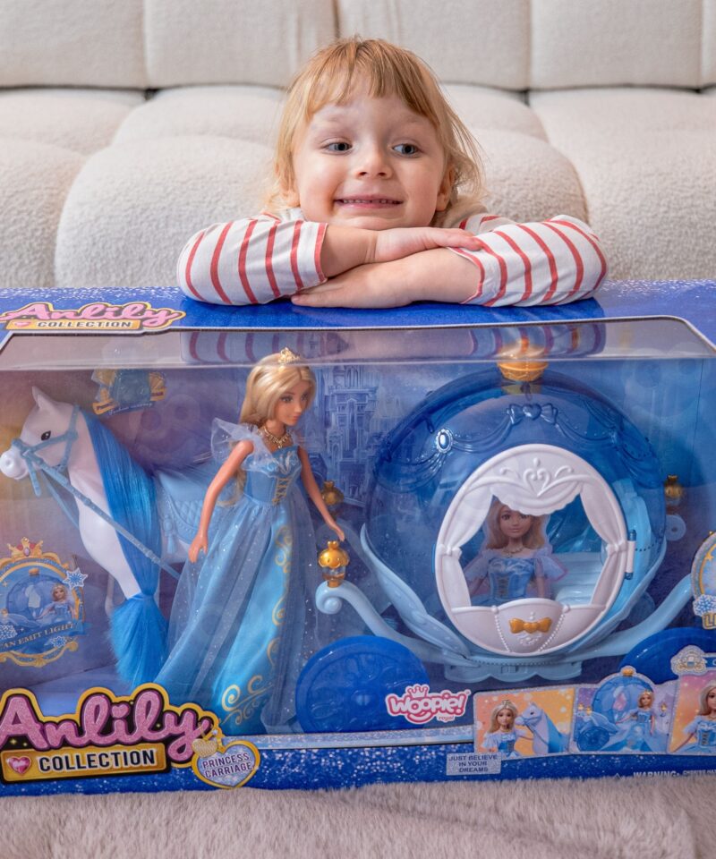 Printsessikomplekt koos valgusefektidega karusselliga