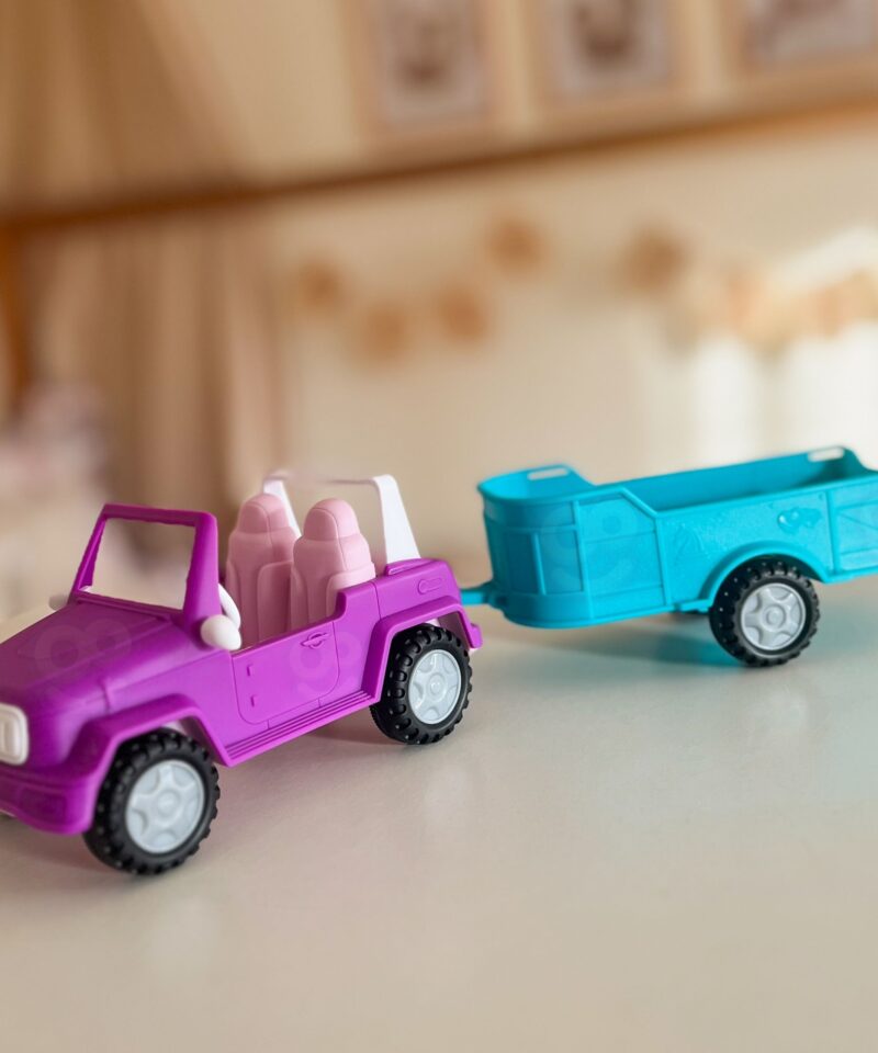 Hobune sadula ja valjastega