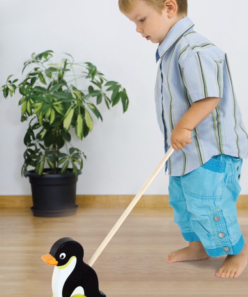 Erksavärviline puidust mänguasi