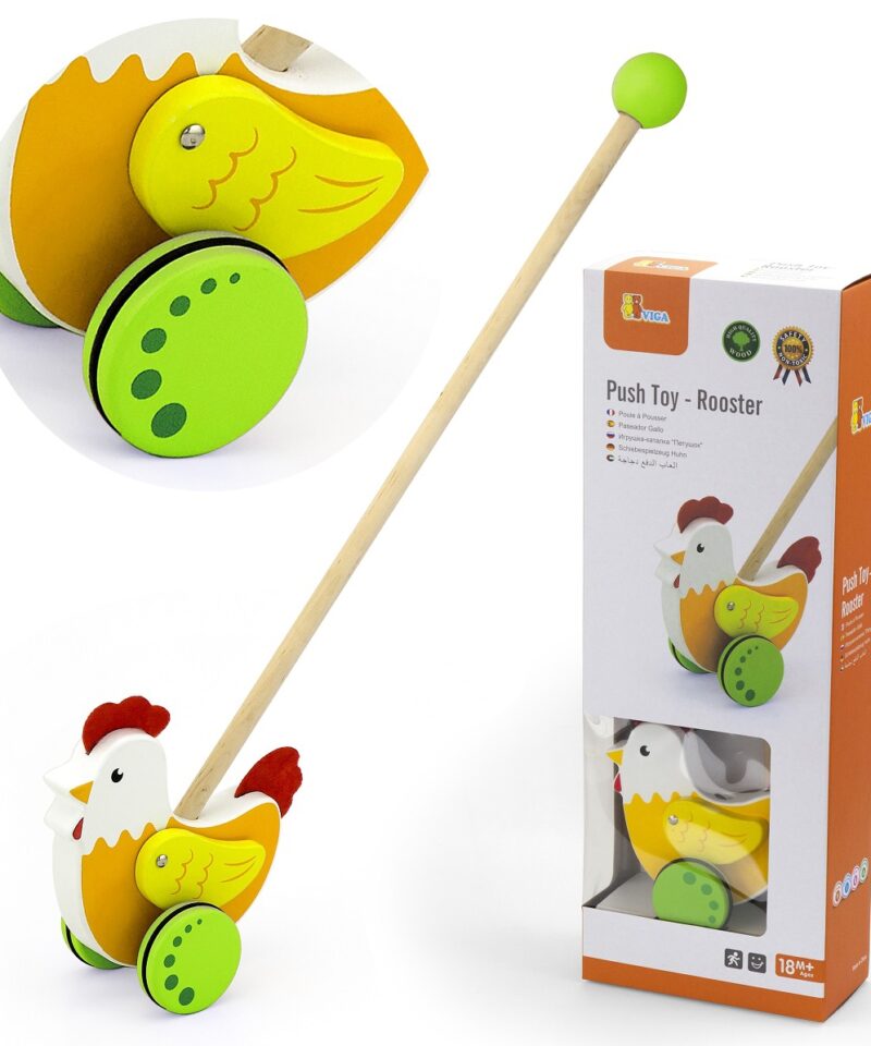 Värviline puidust mänguasi lükkamiseks