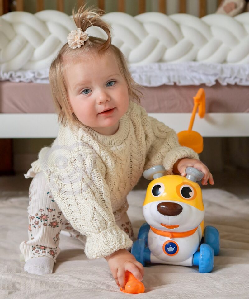 Koerapulgaga mänguasi kõndimiseks