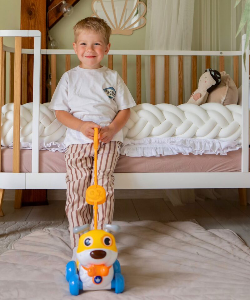 Lõbus ja arendav koeramänguasi