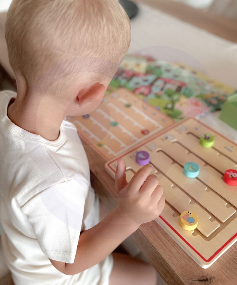 Õpi numbreid ja loomi mängides