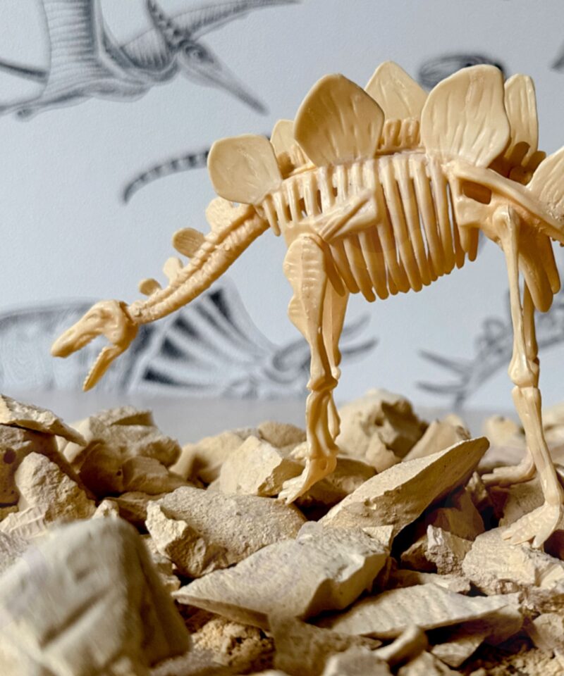 Hariv kaevamiskomplekt poistele ja tüdrukutele