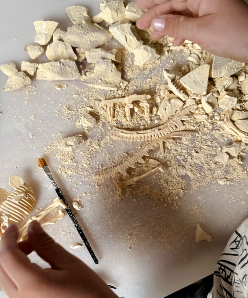 Komplekt praktiliste oskuste arendamiseks