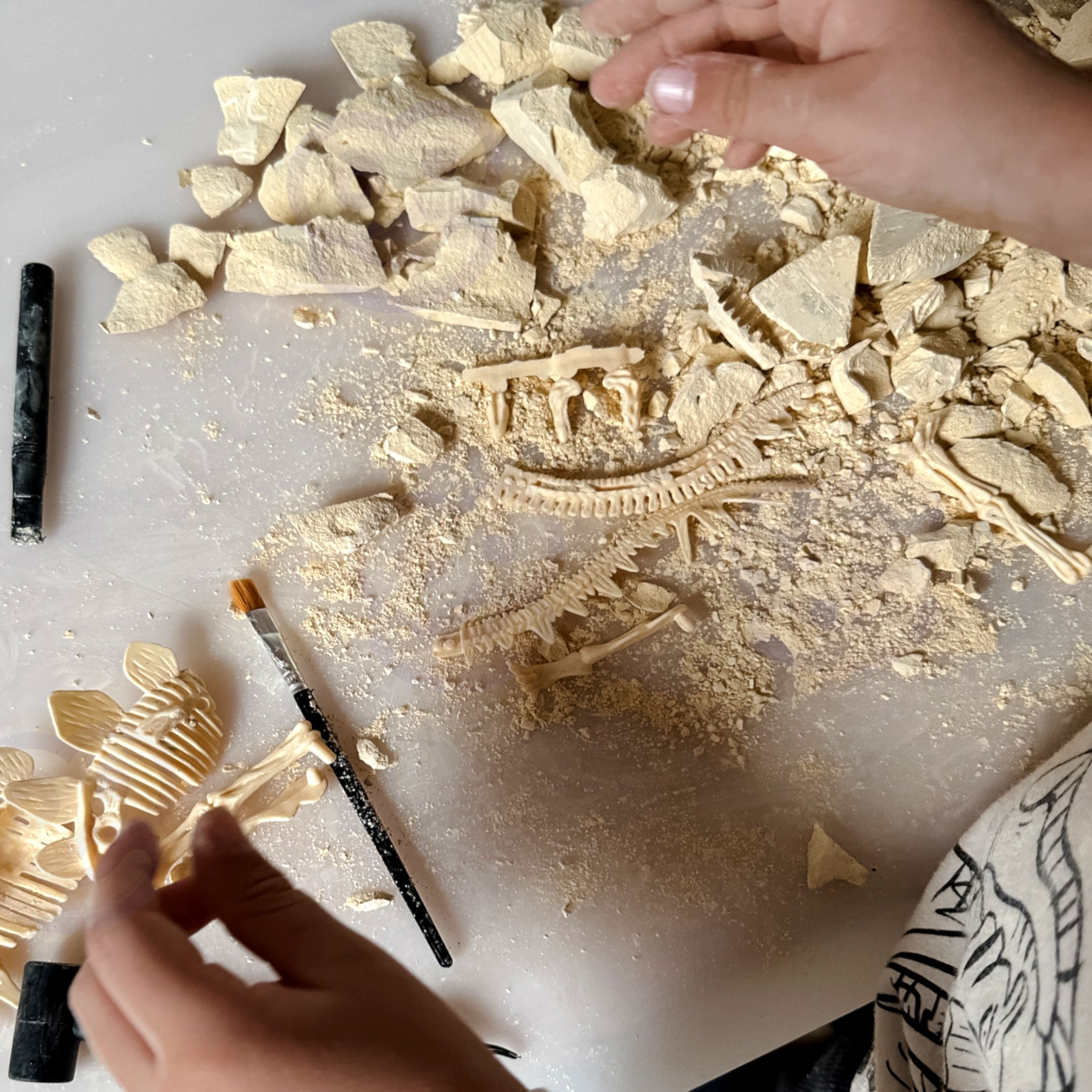 Komplekt praktiliste oskuste arendamiseks