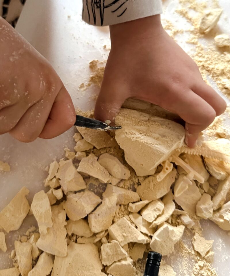 Lastele mõeldud loogilise mõtlemise mäng