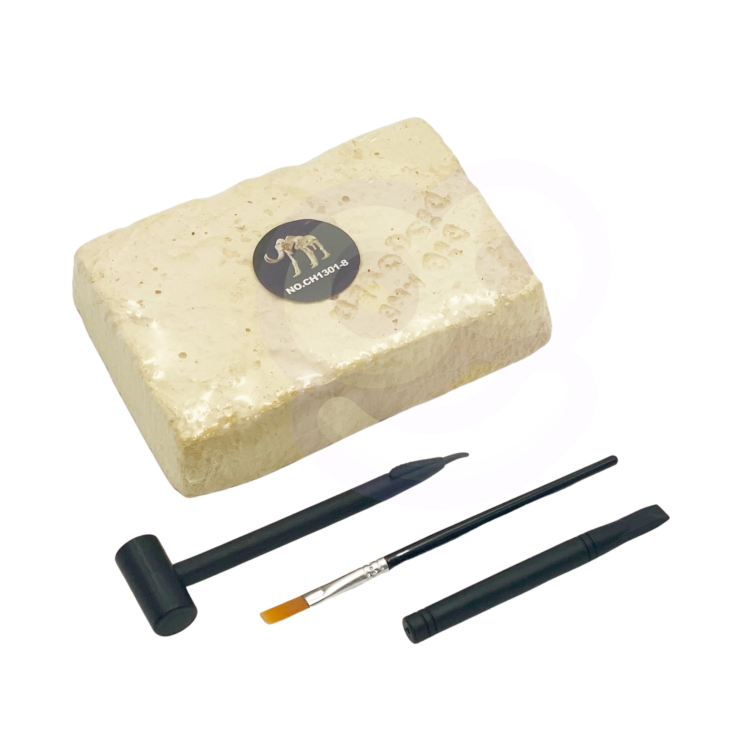 Inspireeriv teadusmäng lastele