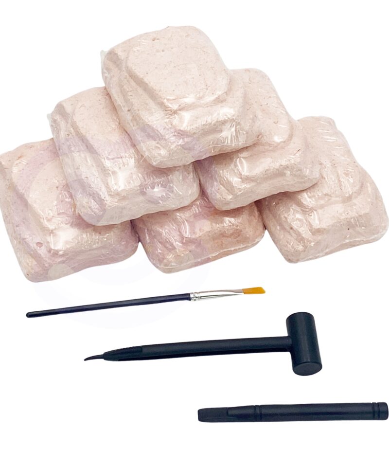 Mammuti skelett mängukomplektis